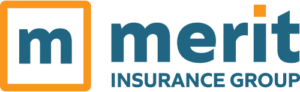 Merit Insurance Group - Logo 500